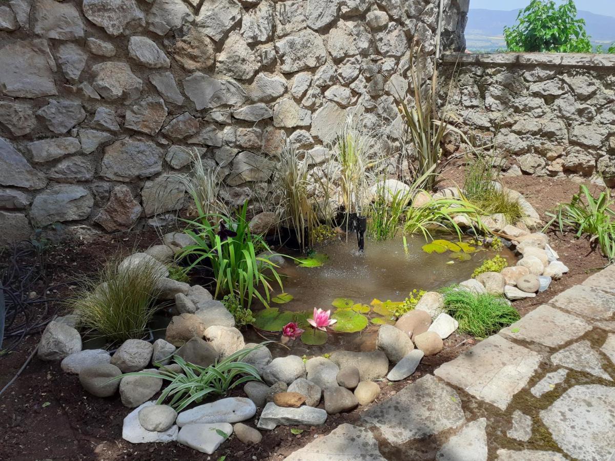 Agoriani Art Suite - 4 Seasons' Natural Living Lilaia Ngoại thất bức ảnh